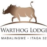 warthog